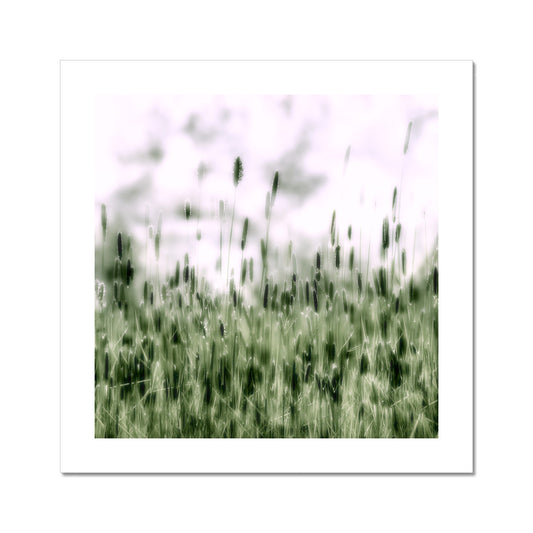 "The Green Grass" Fine Art Print