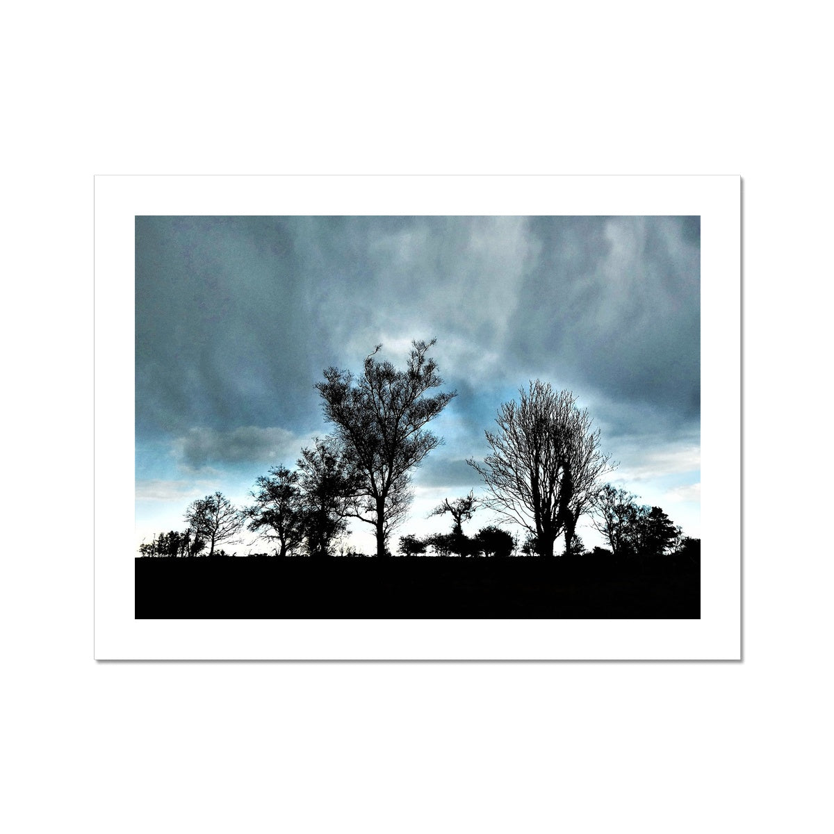 "Marching Trees" Fine Art Print