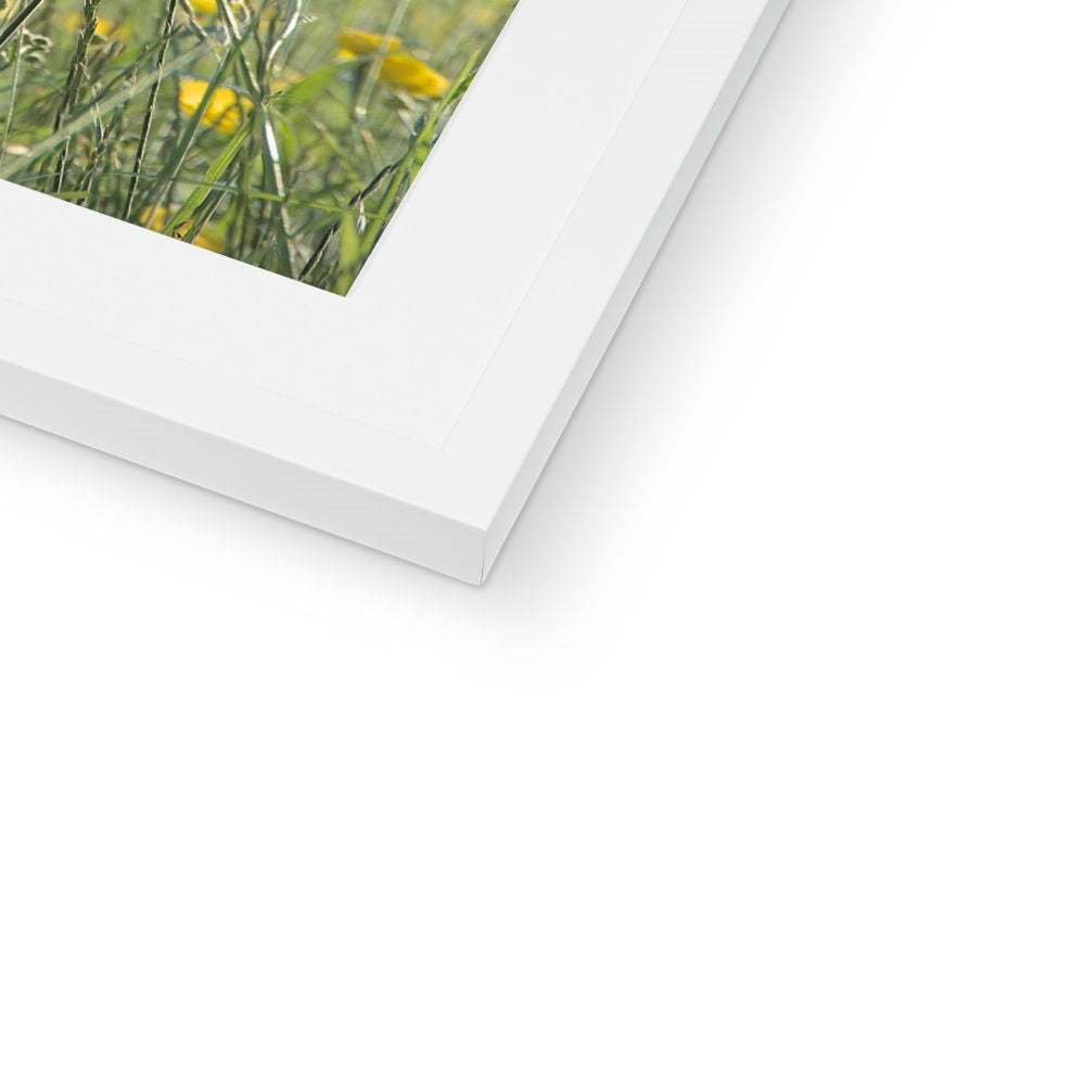 "The Long Grass" Framed & Mounted Print
