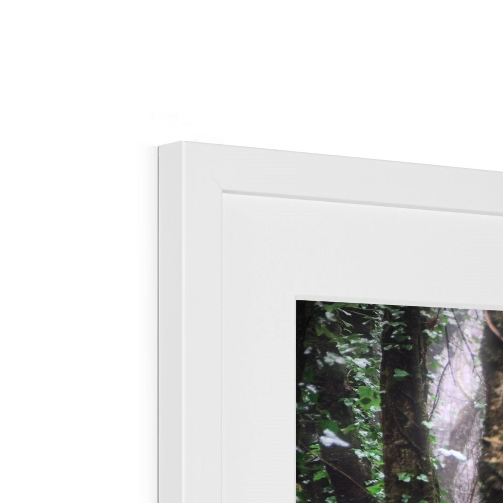 " Misty Trees #1 " Framed & Mounted Print