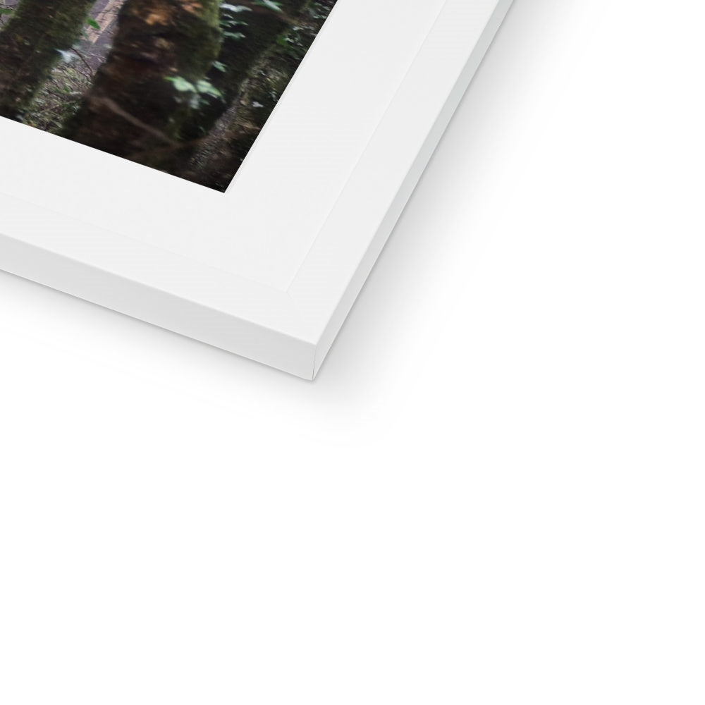 " Misty Trees #1 " Framed & Mounted Print