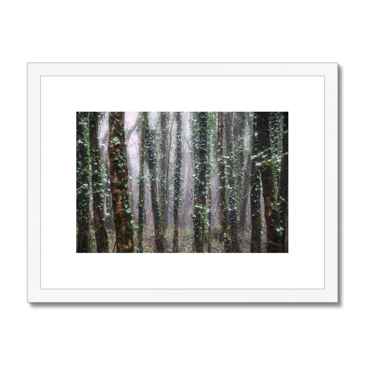 " Misty Trees #1 " Framed & Mounted Print