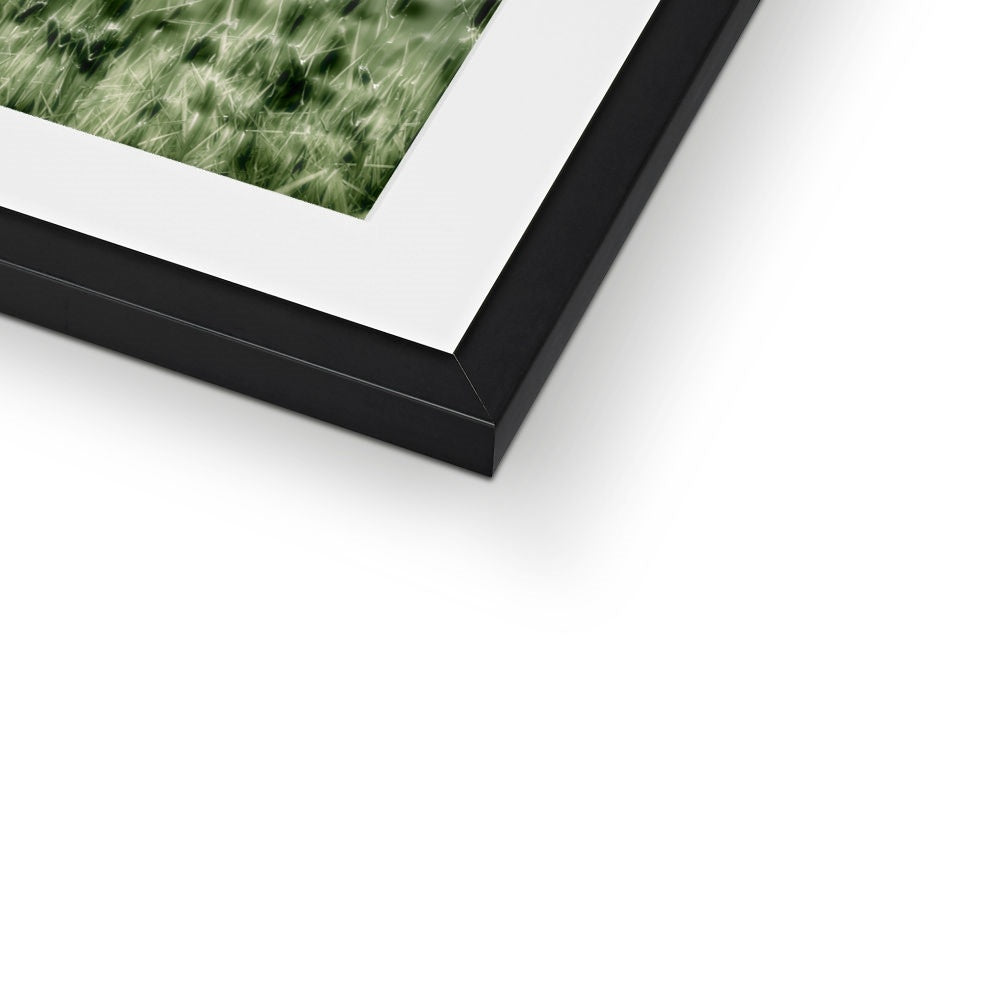 "The Green Grass" Framed & Mounted Print
