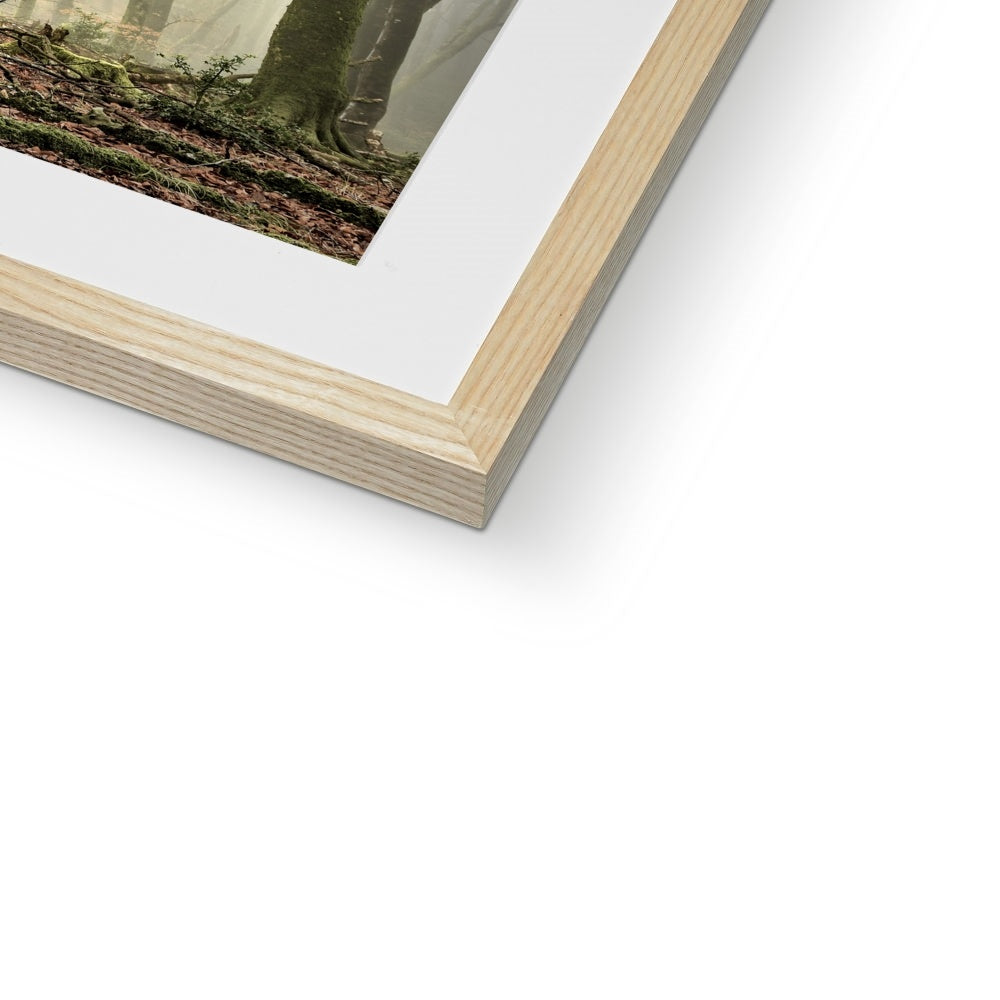 " Misty Trees #2 " Framed & Mounted Print