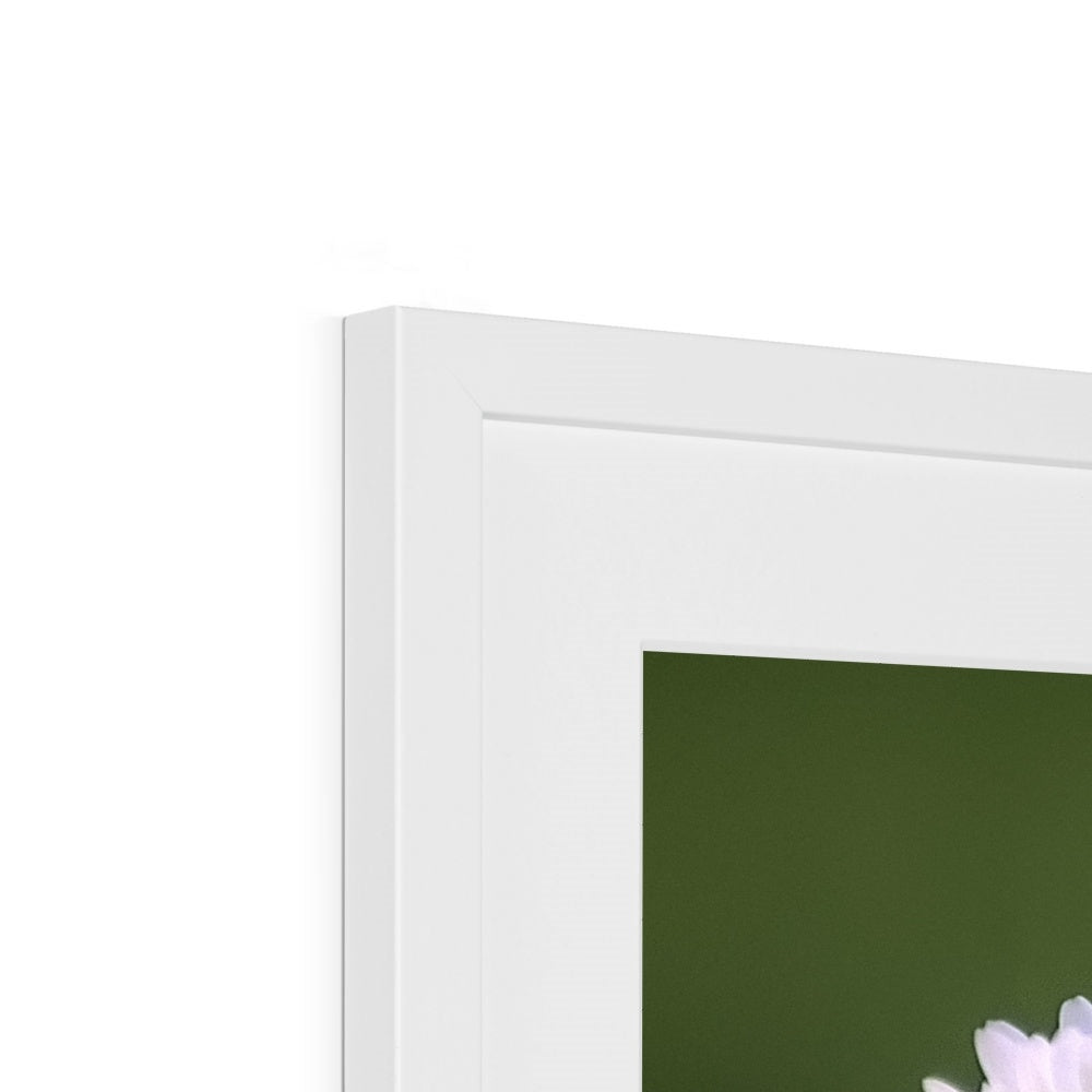 "Triplets" Framed & Mounted Print