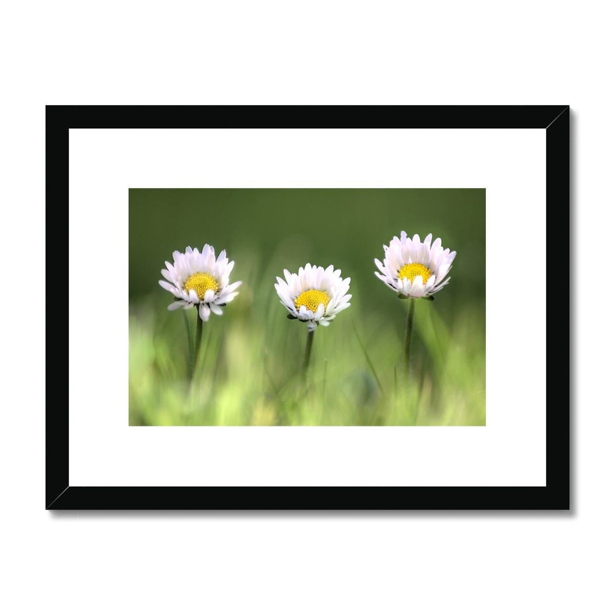 "Triplets" Framed & Mounted Print