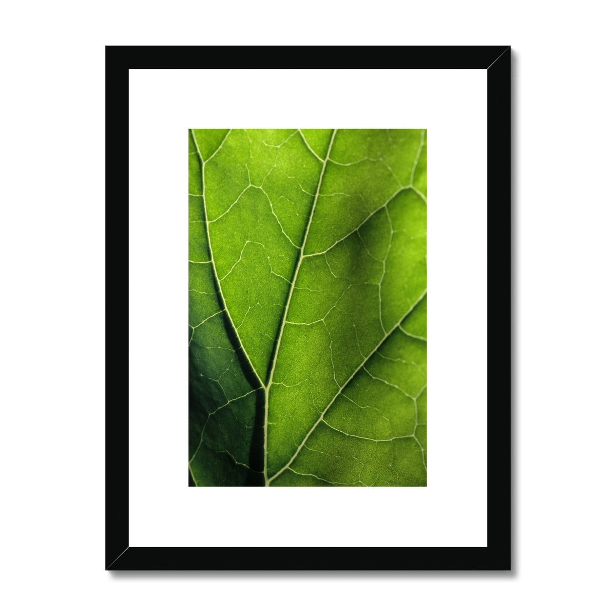 "Veins" Framed & Mounted Print
