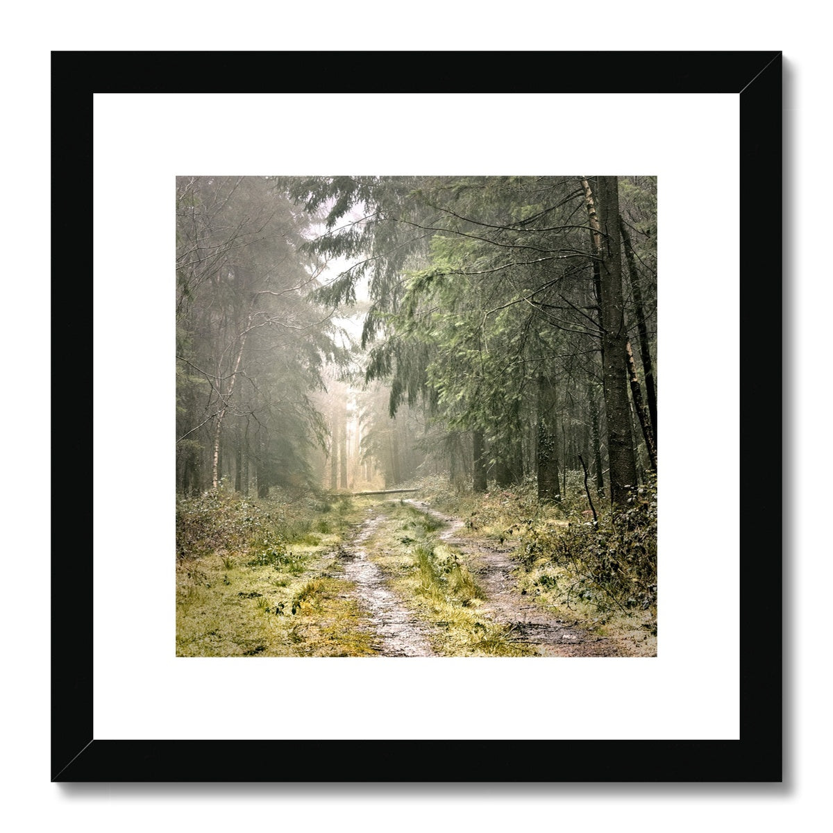 "Wetlands" Framed & Mounted Print