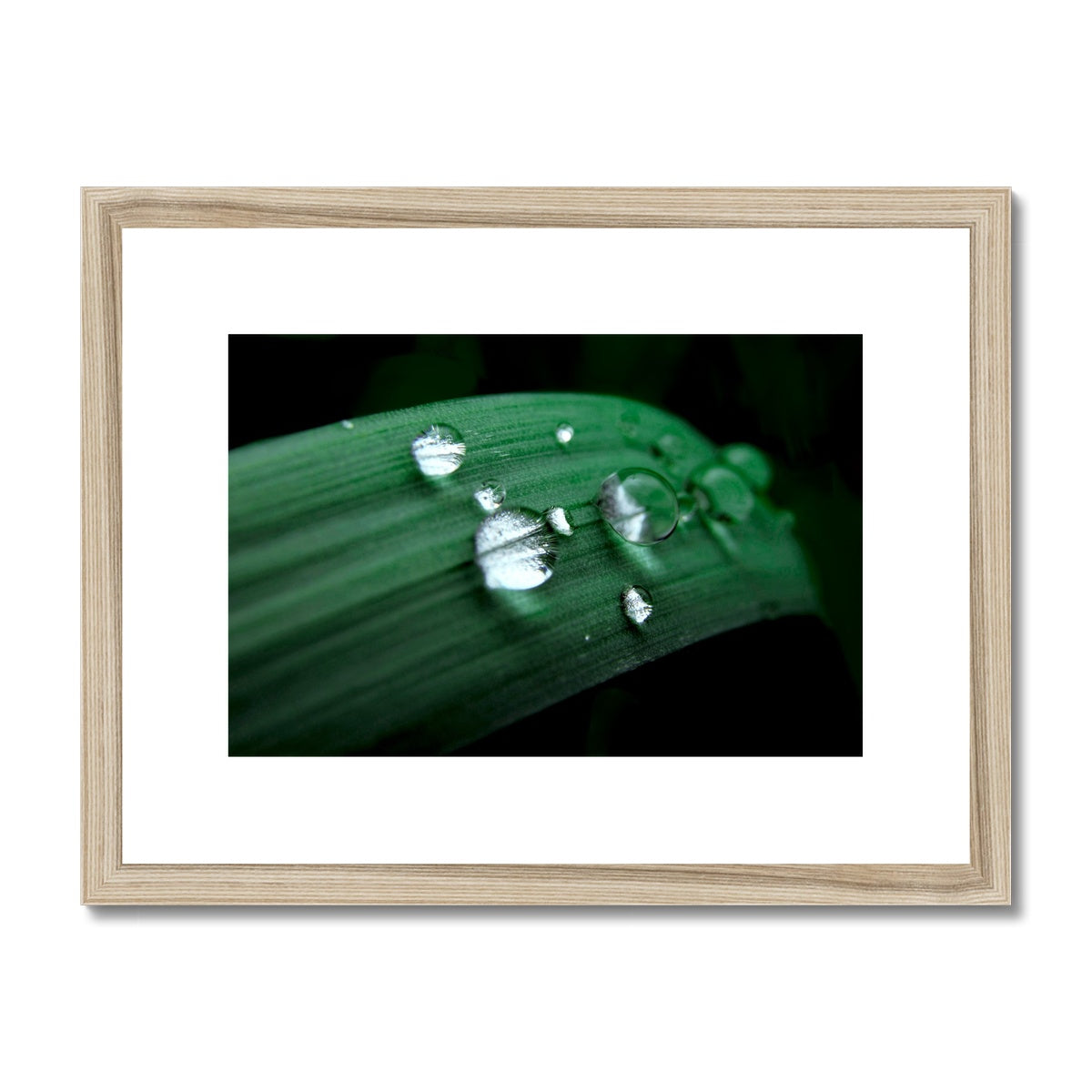 "The Blade Runners" Framed & Mounted Print